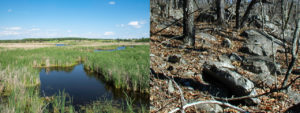 Areas near wetlands and exposed bedrock have little to no promise of passing.