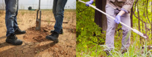 Examples of soil sampling with hand augers