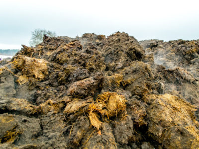 Solid manure waste has its own classification. - Silurian Bedrock ...